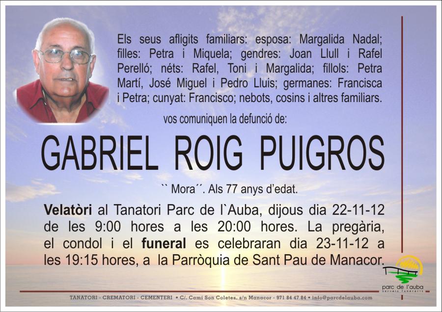 GABRIEL ROIG PUIGROS