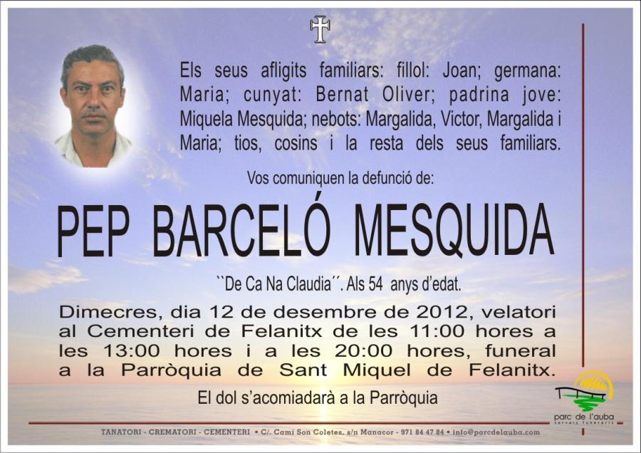 PEP BARCELÓ  MESQUIDA