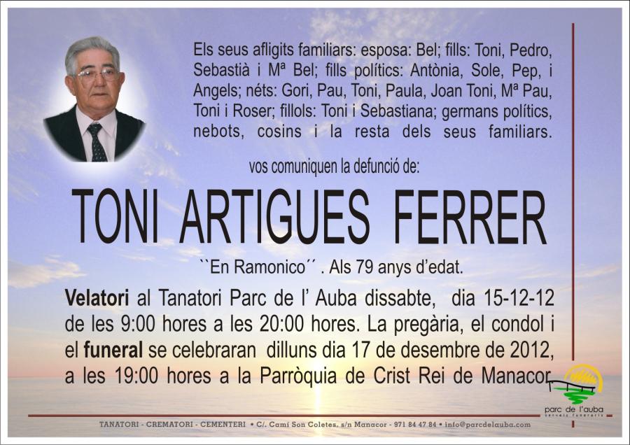 TONI ARTIGUES  FERRER