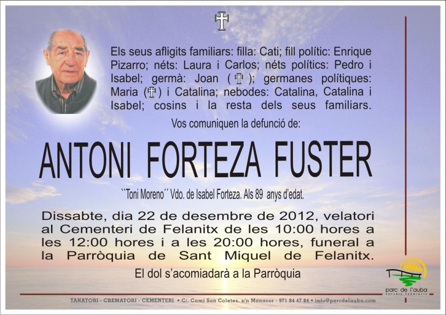 ANTONI FORTEZA  FUSTER