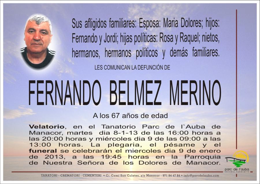 FERNANDO BELMEZ  MERINO