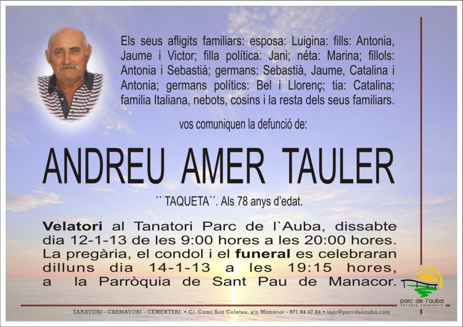 ANDREU AMER  PALMER