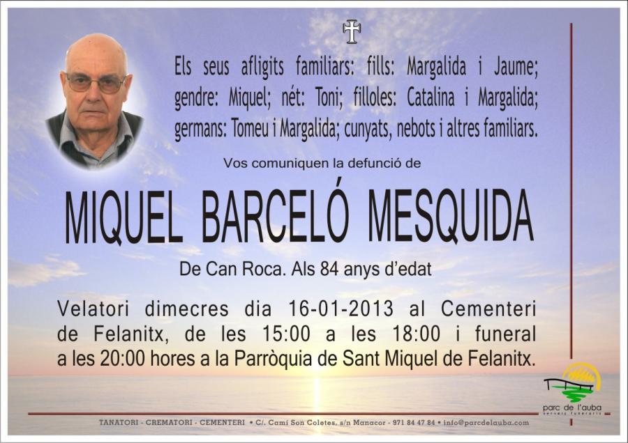 MIQUEL BARCELÓ  MESQUIDA