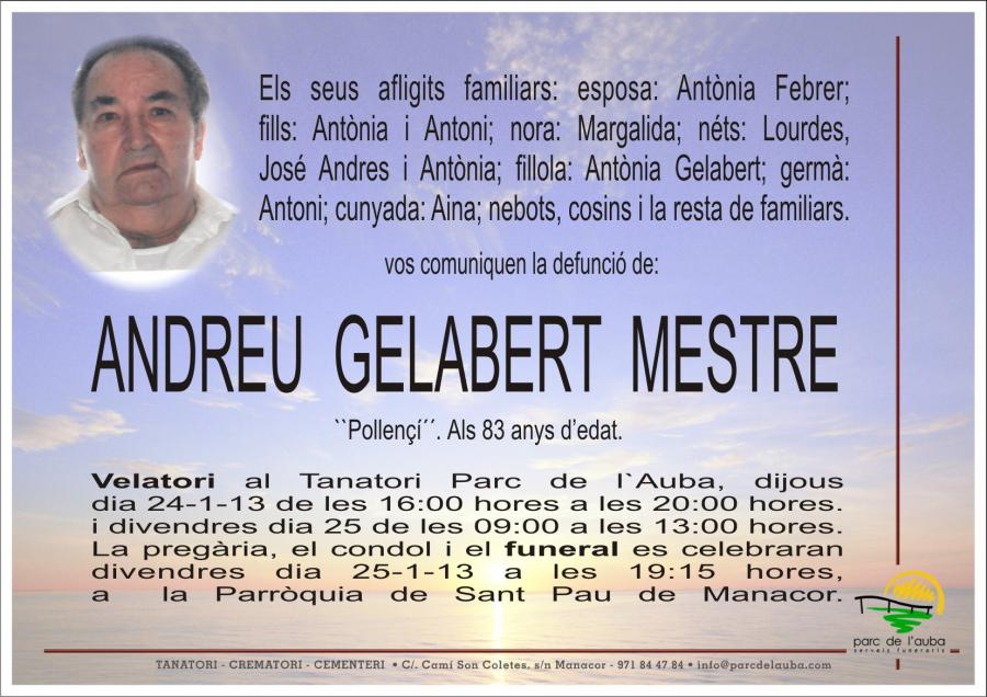 ANDREU GELABERT MESTRE