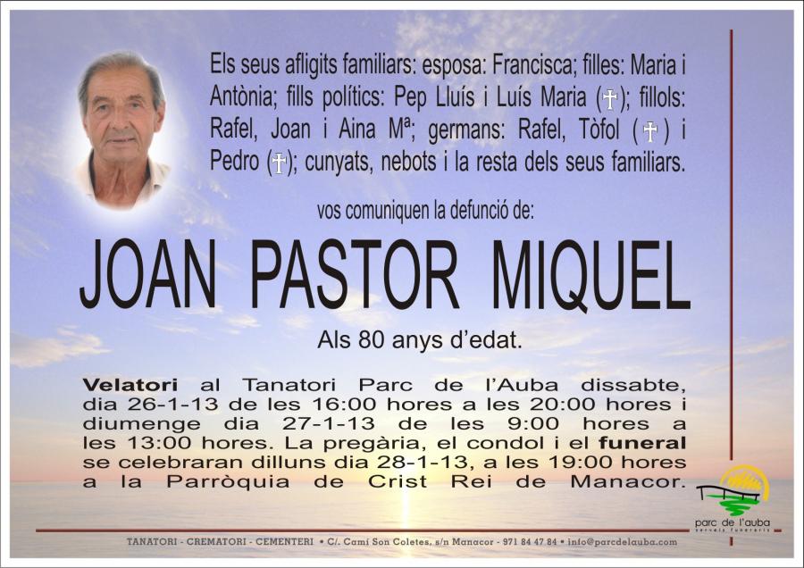 JOAN PASTOR  MIQUEL