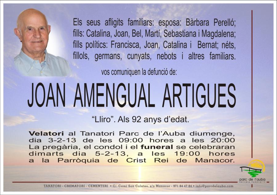 JOAN AMENGUAL ARTIGUES