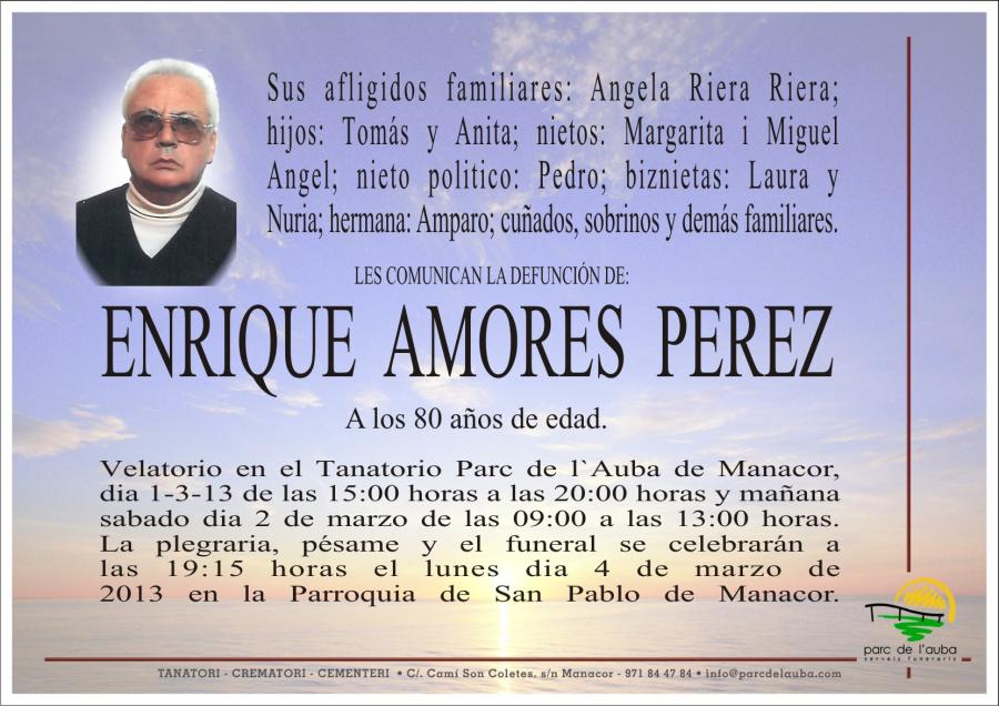 ENRIQUE AMORES PEREZ