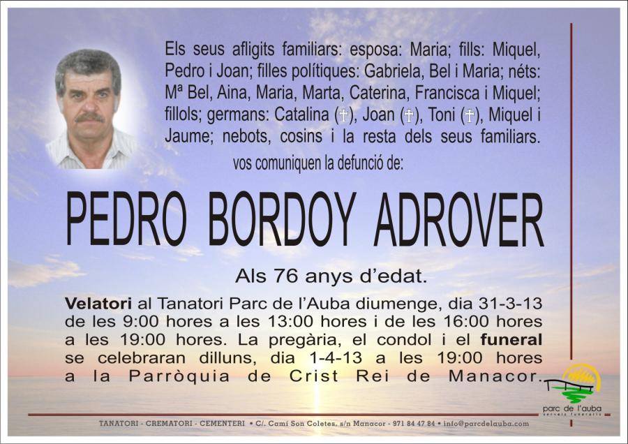 PEDRO BORDOY  ADROVER