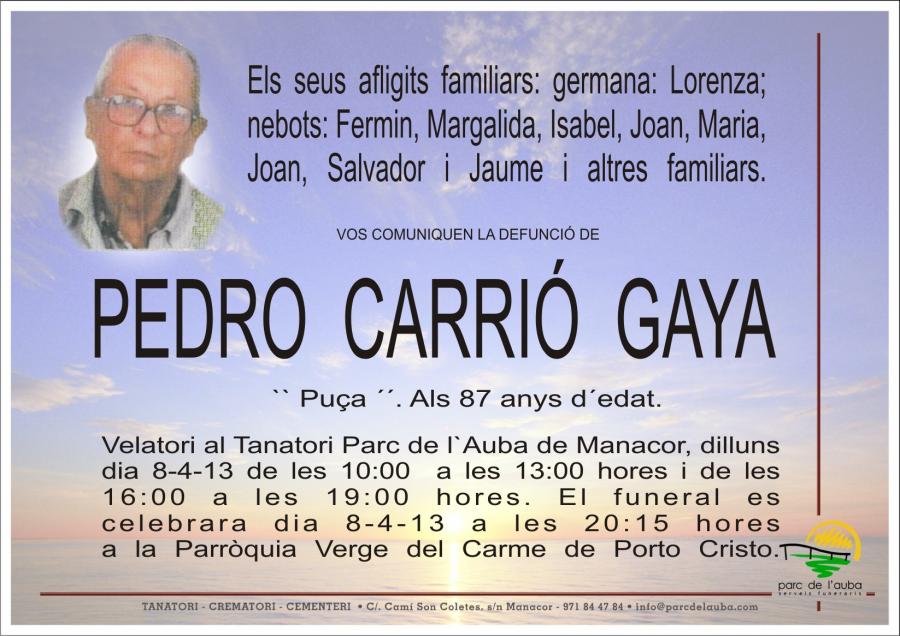PEDRO CARRIÓ GAYA