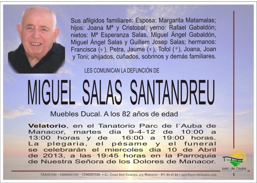 MIGUEL SALAS SANTANDREU