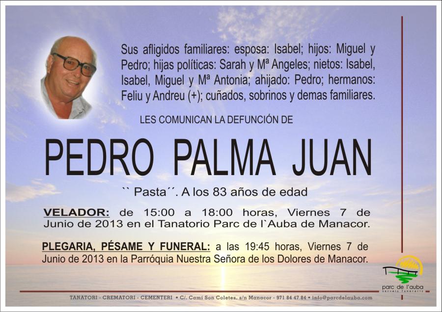 PEDRO PALMA  JUAN