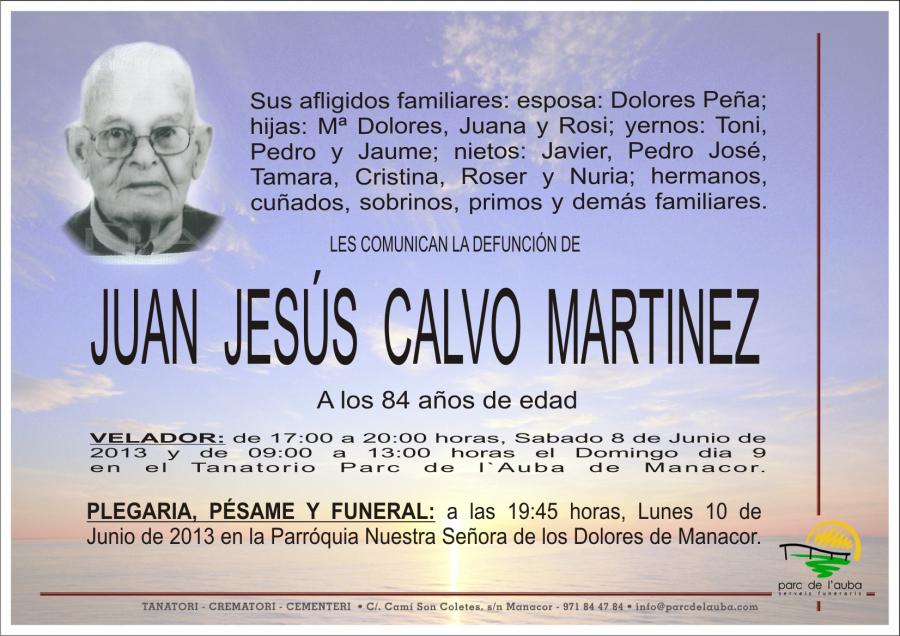 JUAN JESÚS  CALVO MARTINEZ