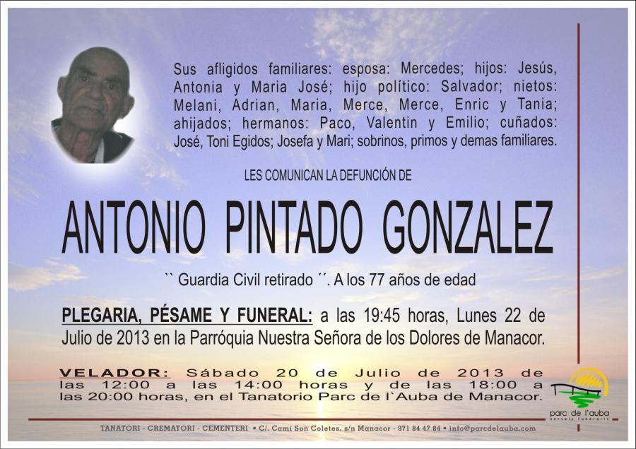 ANTONIO   PINTADO  GONZALEZ