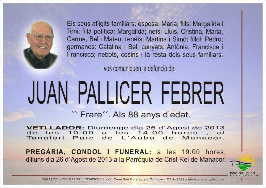 JUAN PALLICER  FEBRER