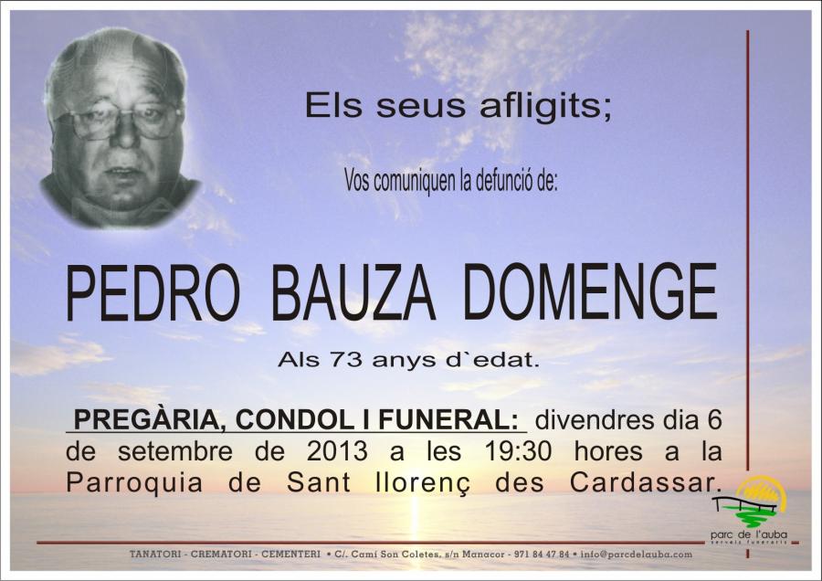 PEDRO BAUZA DOMENGE