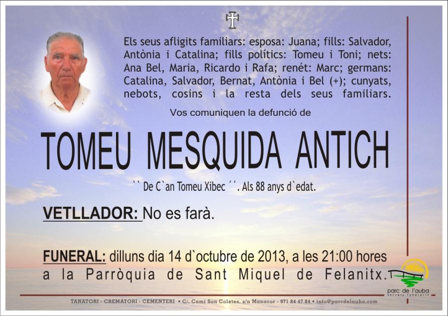 TOMEU MESQUIDA  ANTICH