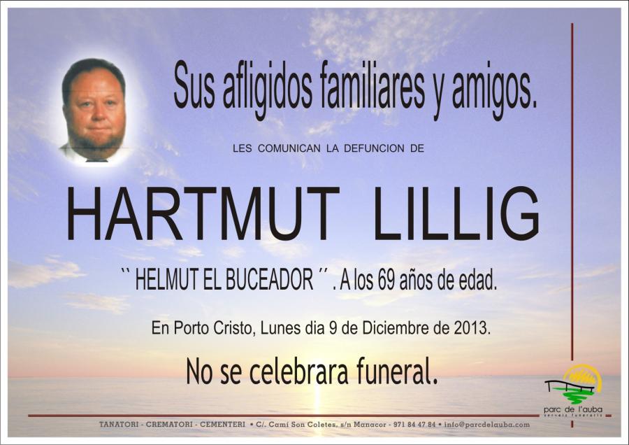 HARTMUT LILLIG