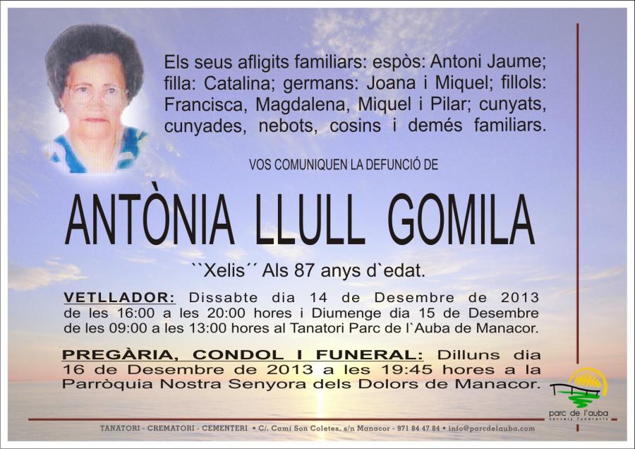ANTÃ'NIA LLULL GOMILA