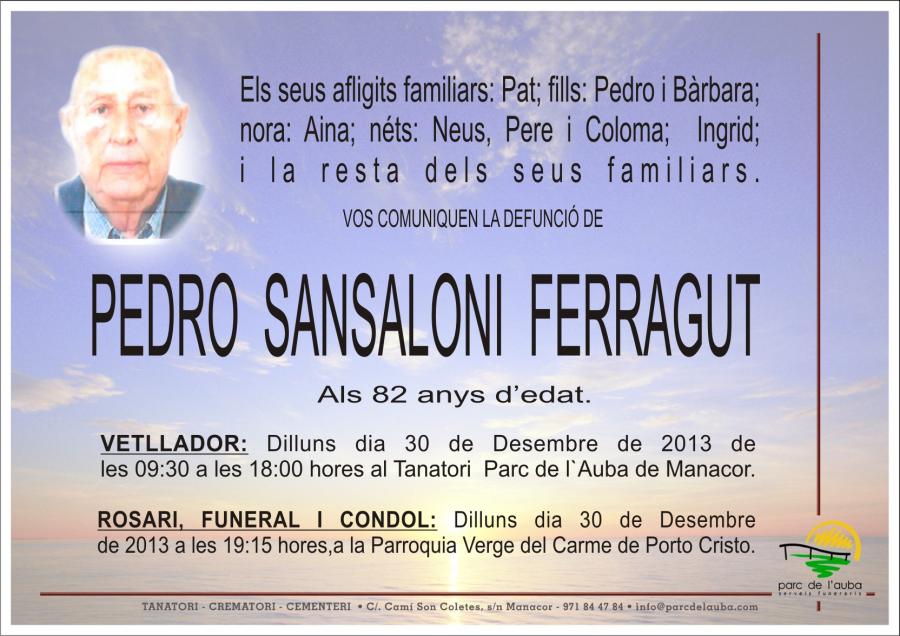 PEDRO SANSALONI FERRAGUT