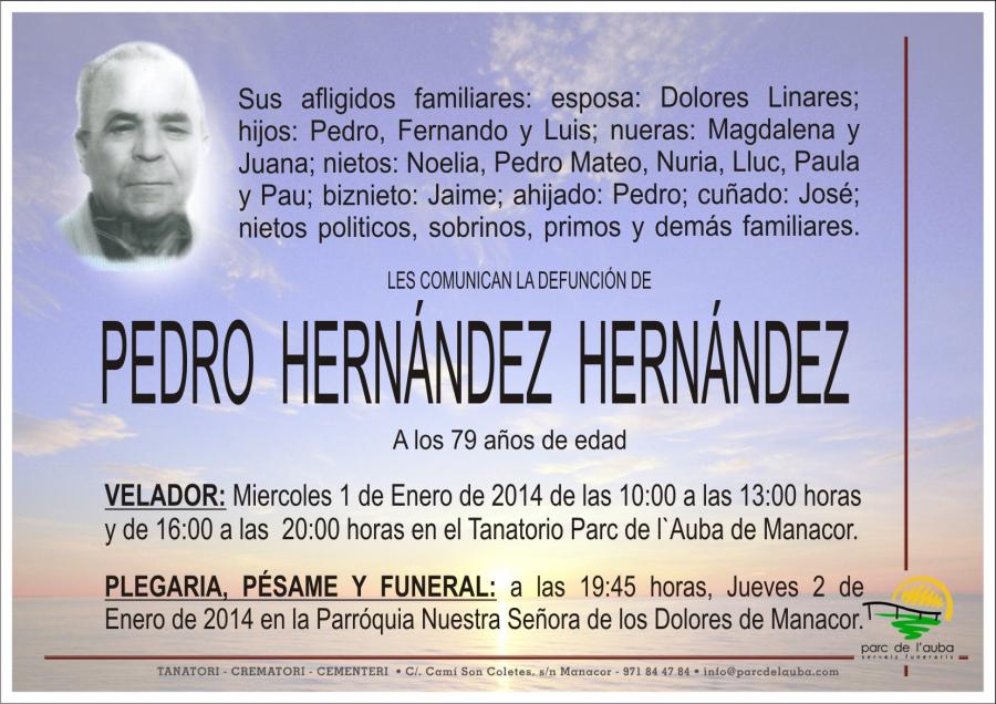 PEDRO HERNÁNDEZ HERNÁNDEZ