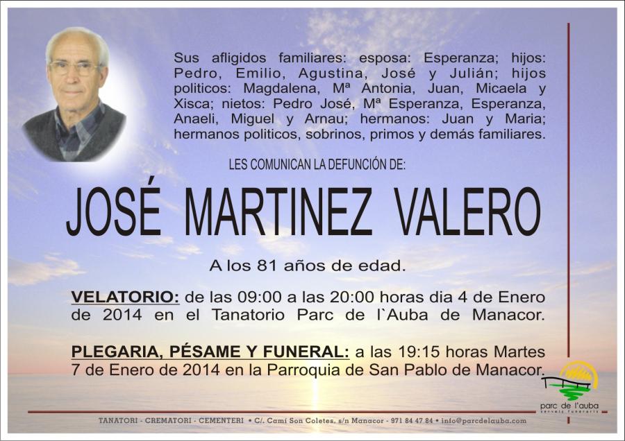 JOSÉ MARTINEZ VALERO