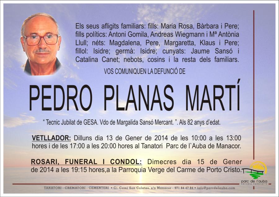 PEDRO PLANAS MARTÍ