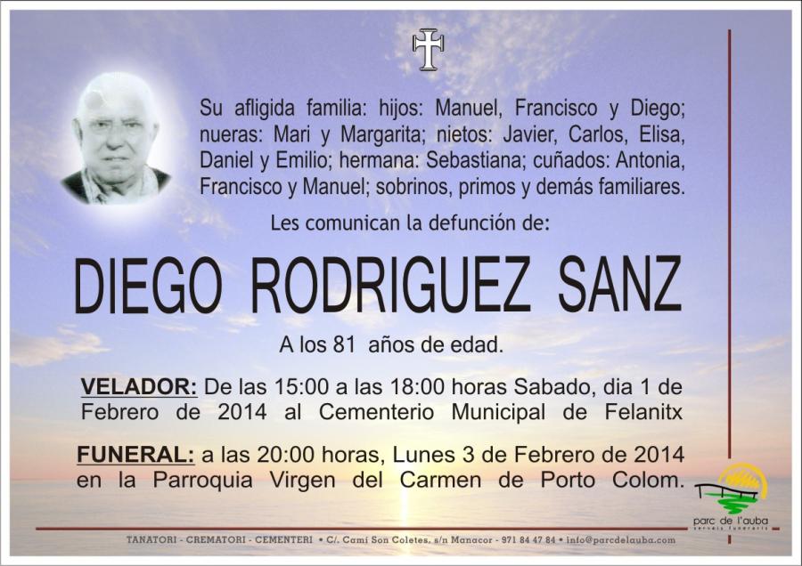 DIEGO RODRIGUEZ  SANZ