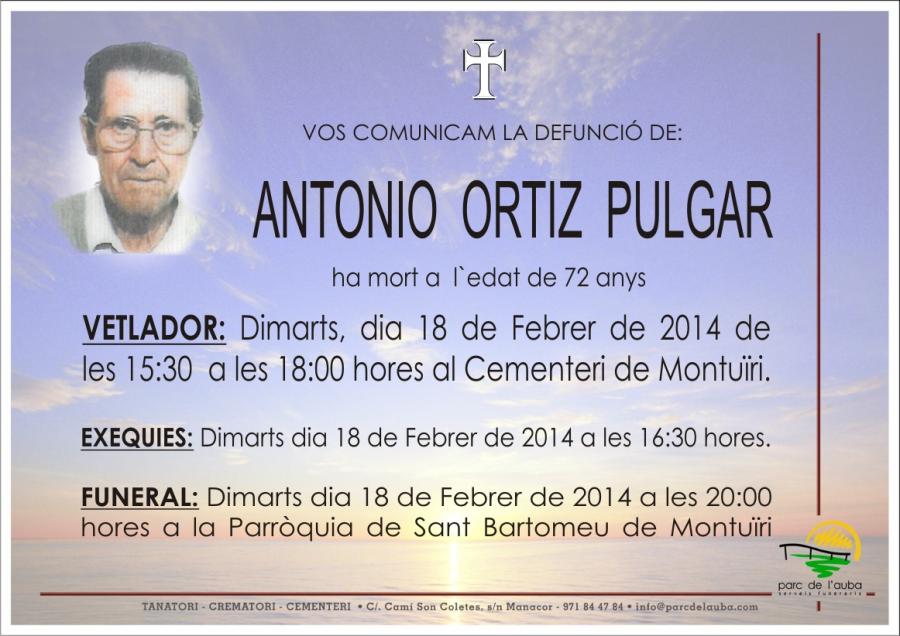 ANTONIO ORTIZ PULGAR