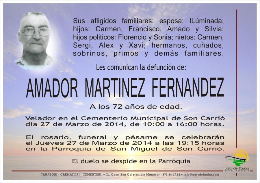 AMADOR MARTINEZ FERNANDEZ