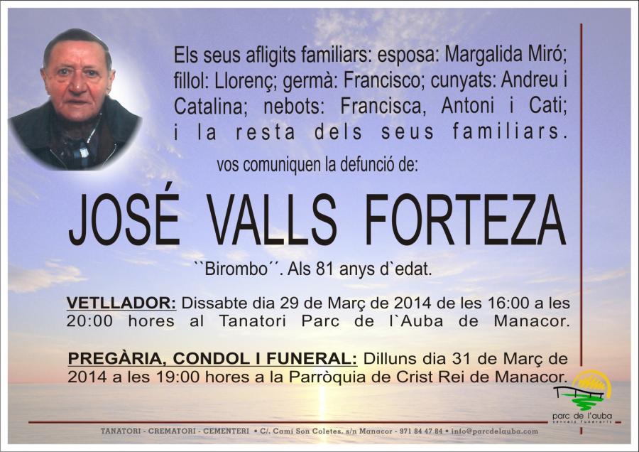 JOSÉ VALLS FORTEZA