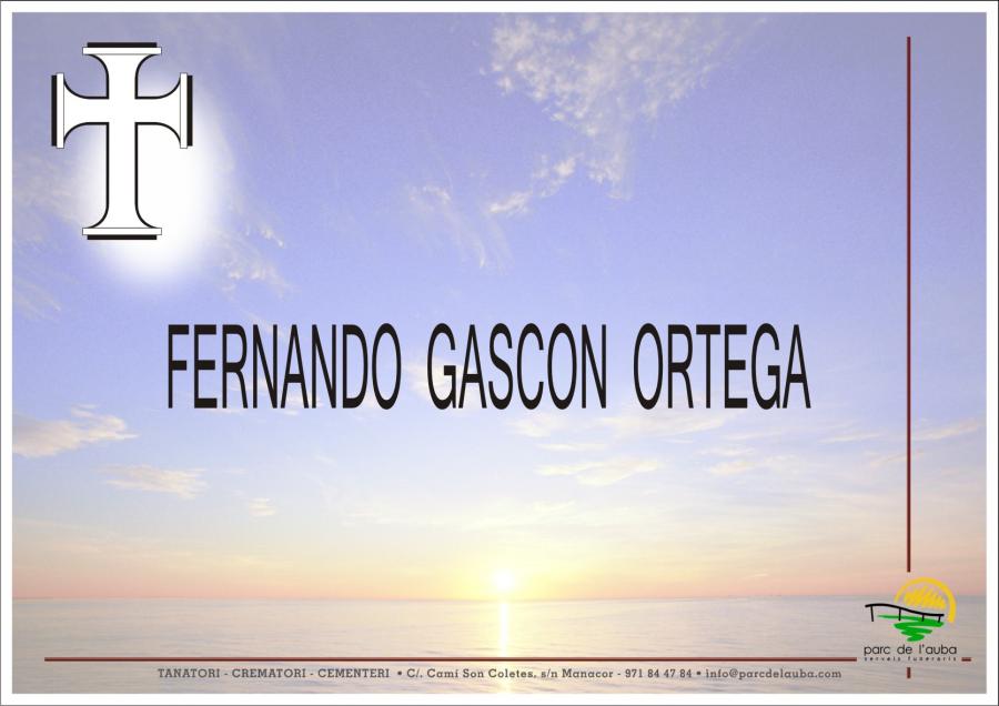 FERNANDO GASCON ORTEGA