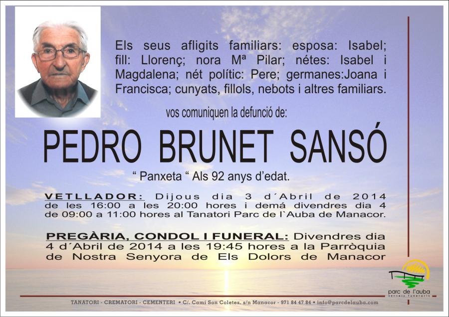 PEDRO BRUNET SANSÓ