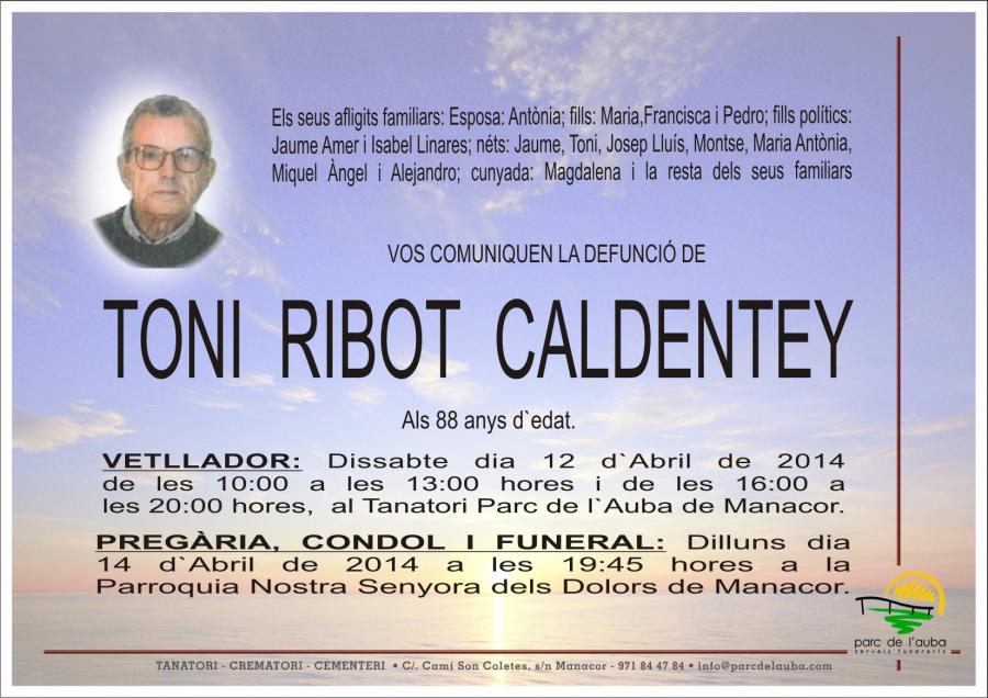 TONI RIBOT  CALDENTEY