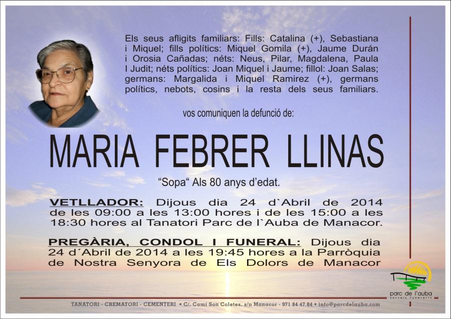 MARIA FEBRER  LLINAS