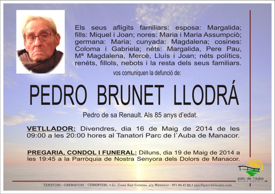 PEDRO BRUNET LLODRÁ