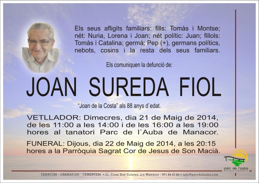 JOAN SUREDA FIOL