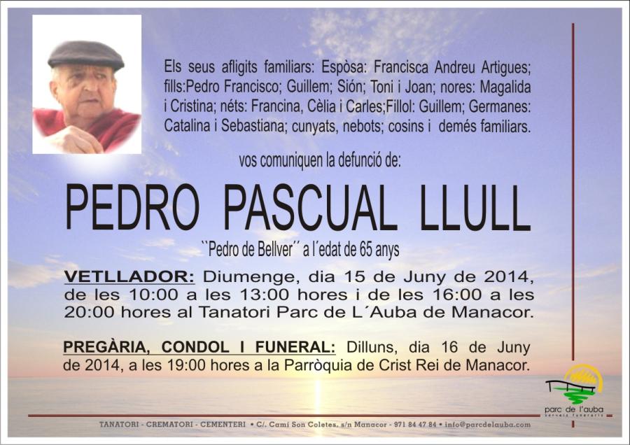 PEDRO  PASCUAL LLULL