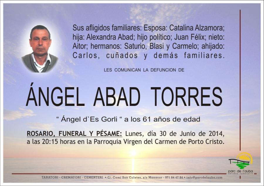 ÁNGEL ABAD  TORRES