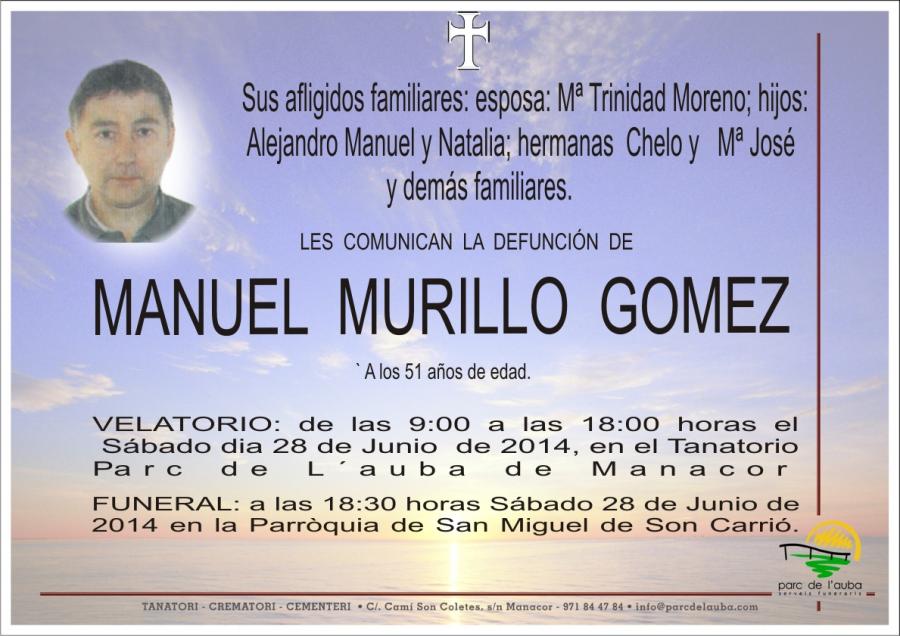 MANUEL MURILLO GOMEZ