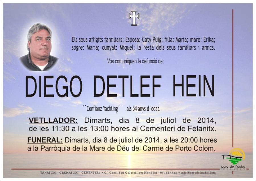 DIEGO DETLEF HEIN