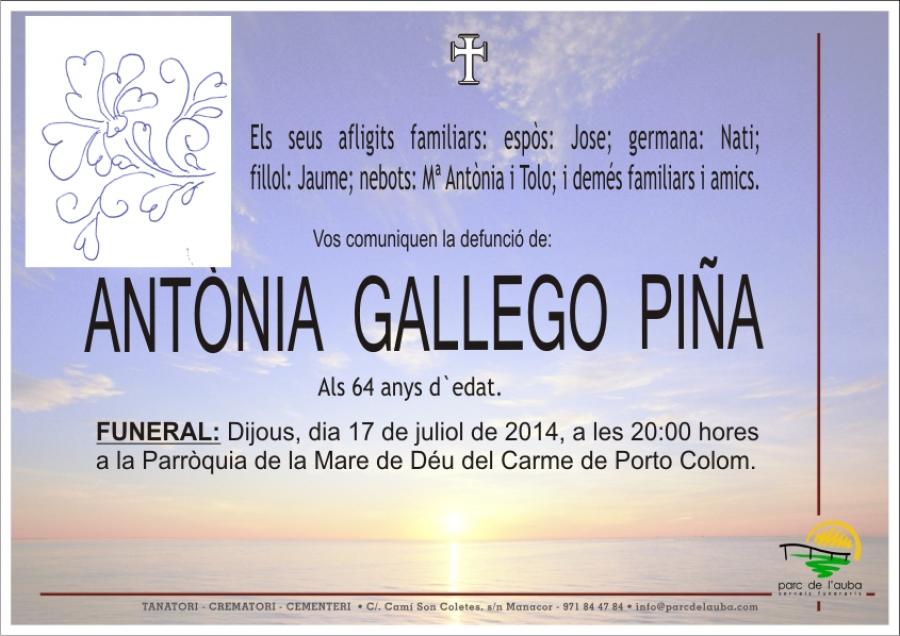 ANTÃ'NIA GALLEGO PIÑA