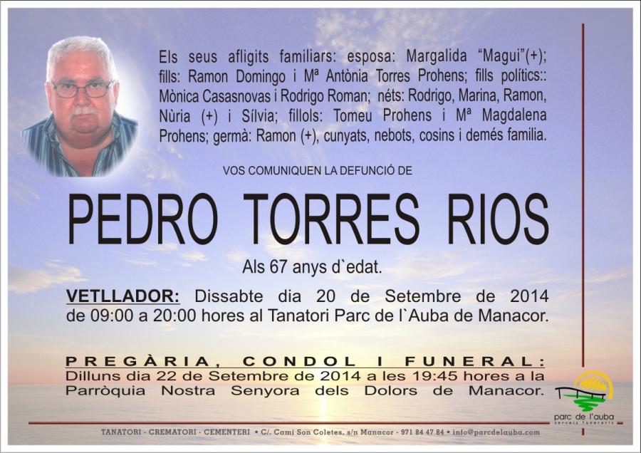 PEDRO TORRES RIOS