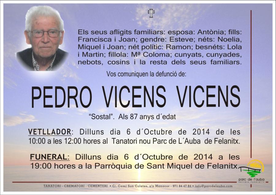 PEDRO VICENS VICENS