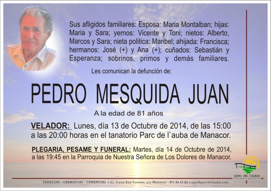 PEDRO MESQUIDA JUAN
