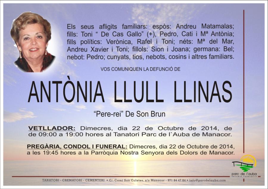 ANTÃ'NIA LLULL  LLINAS