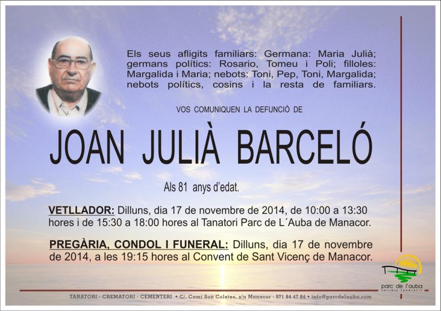 JOAN JULIÀ BARCELÓ