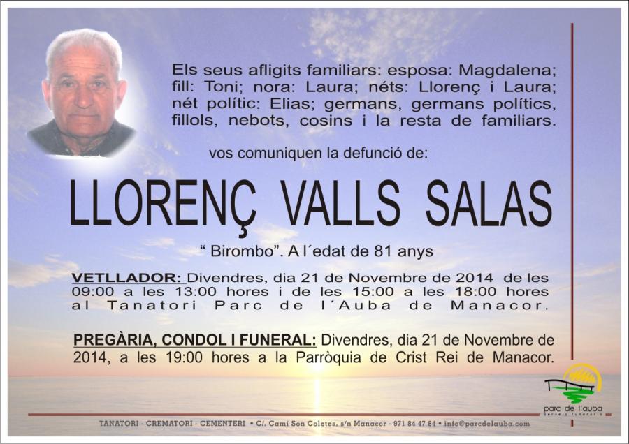 LLORENÇ VALLS SALAS