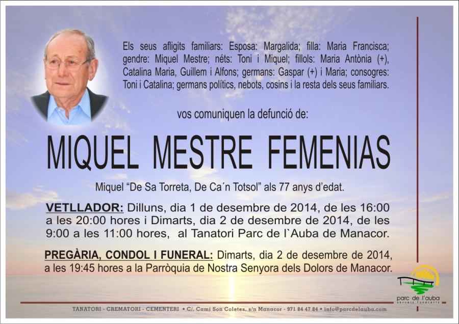MIQUEL MESTRE  FEMENIAS