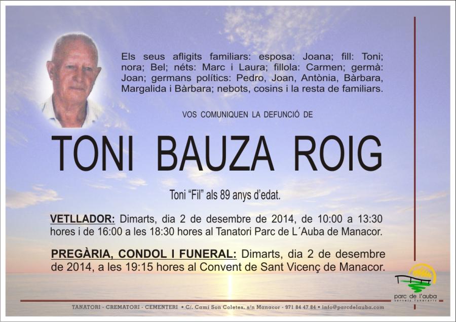 TONI BAUZA  ROIG