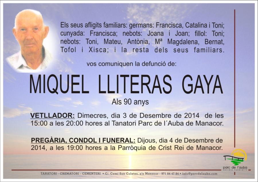 MIGUEL LLITERAS GAYA